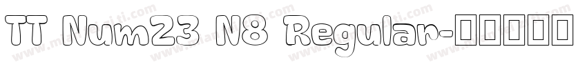 TT Num23 N8 Regular字体转换